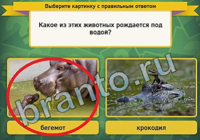 Выбирайка решения Уровень 792