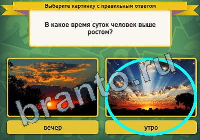 Выбирайка игра ответы Уровень 793