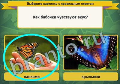 Выбирайка решения Уровень 802