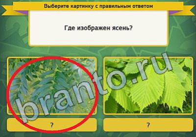 игра Выбирайка ответ на Уровень 820