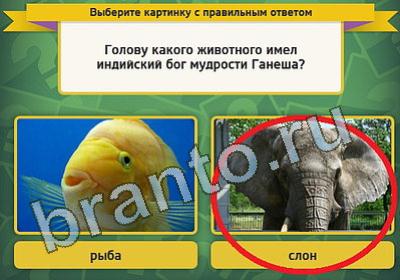 игра Выбирайка ответ на Уровень 830