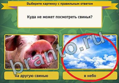 решебник на игру Выбирайка Уровень 831