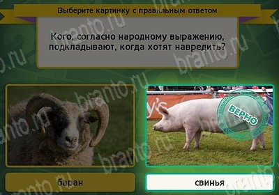 Решения на игру Выбирайка Уровень 7503