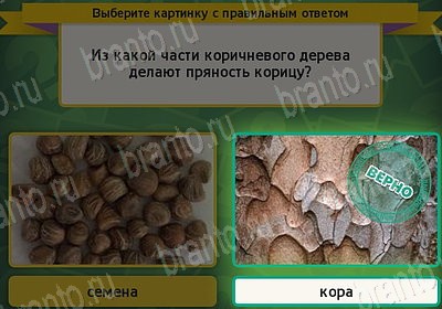 решебник на игру Выбирайка Уровень 7511