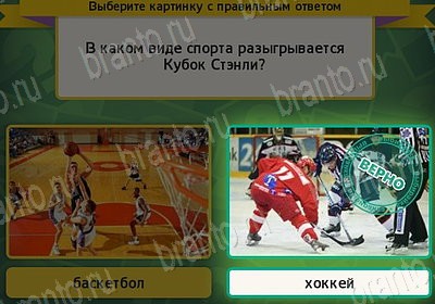Выбирайка ответы в картинках Уровень 7516