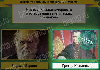 Игра Выбирайка ответы Уровень 7517