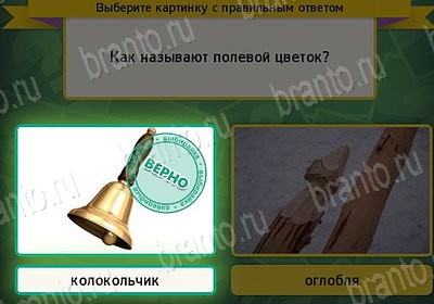 Выбирайка решения Уровень 7522