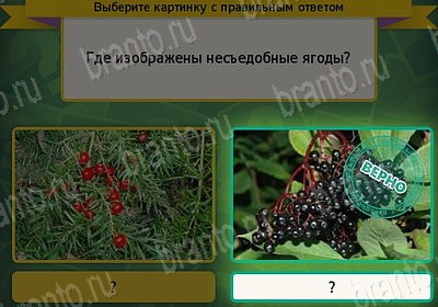 игра Выбирайка Мой мир ответ на Уровень 7530