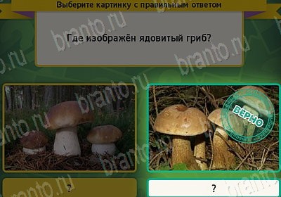 ответы к игре Выбирайка Уровень 7535