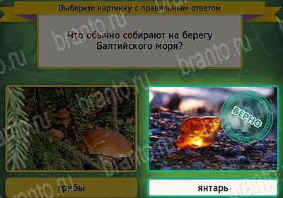 решебник на игру Выбирайка Уровень 7541