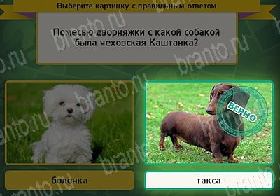 Выбирайка игра ответы Уровень 7543