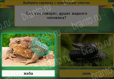 Выбирайка игра подсказки Уровень 7544