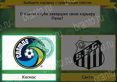 игра Выбирайка ответ на Уровень 7550