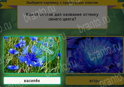 Выбирайка ответы в картинках Уровень 7556