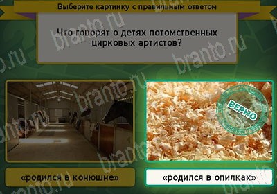 Игра Выбирайка Мой мир ответы Уровень 7557