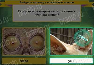 игра Выбирайка ВК помощь Уровень 7559