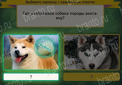 Одноклассники Выбирайка ответы Уровень 7568