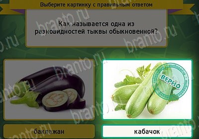 Выбирайка решения Уровень 7572