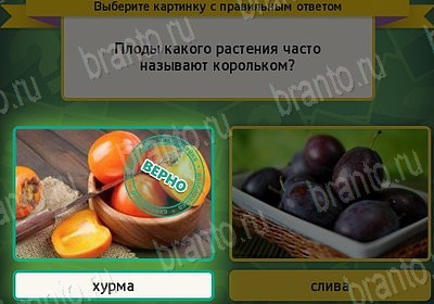 Выбирайка игра ответы Уровень 7573