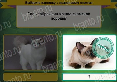 Выбирайка игра помощь Уровень 7575