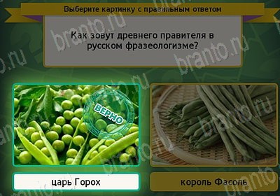 Игра Выбирайка ответы Уровень 7577