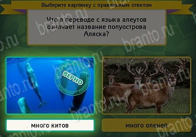 Игра Выбирайка Мой мир ответы Уровень 7587