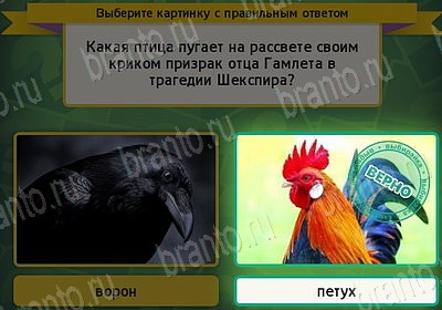 ответы на игру Выбирайка в одноклассниках Уровень 7591