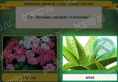 Выбирайка подсказки в контакте Уровень 7599