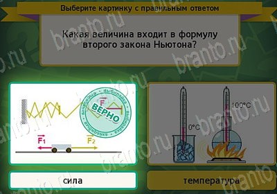 Выбирайка игра ответы Уровень 7613