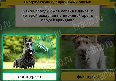 Игра Выбирайка Одноклассники подсказки Уровень 7618