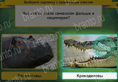 ответы на игру Выбирайка в одноклассниках Уровень 7621