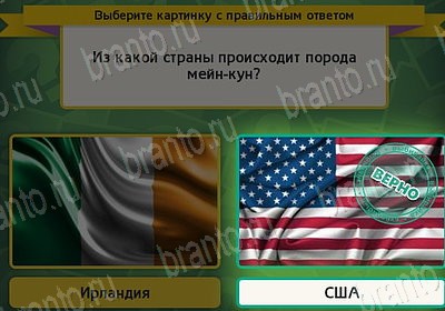 Решения на игру Выбирайка Уровень 7623