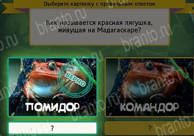 Помощь на игру ВК Выбирайка Уровень 7624