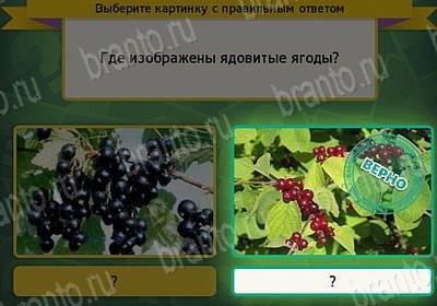 ответы к игре Выбирайка Уровень 7625