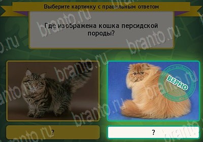 Выбирайка игра ответы в одноклассниках Уровень 7627