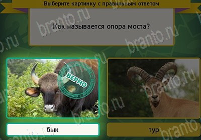 Одноклассники Выбирайка ответы Уровень 7628