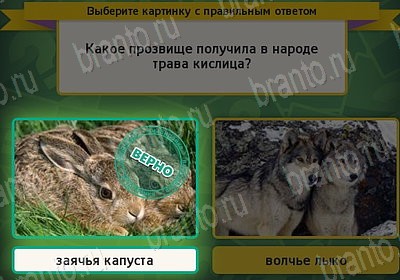 Выбирайка подсказки в контакте Уровень 7629