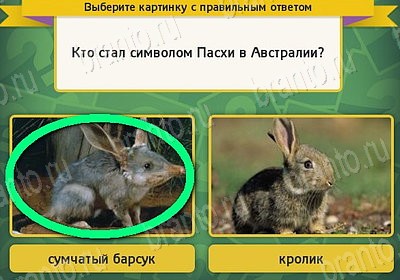 Выбирайка игра ответы в одноклассниках Уровень 7657