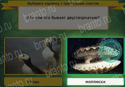 игра Выбирайка ответ на Уровень 7660