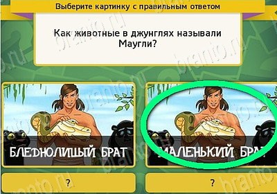 решебник на игру Выбирайка Уровень 7671