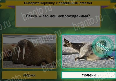 Помощь на игру ВК Выбирайка Уровень 7684