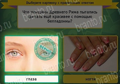 решебник на игру Выбирайка Уровень 7691