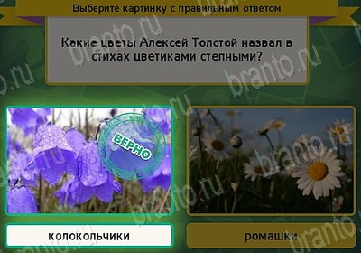 Выбирайка игра подсказки Уровень 7704