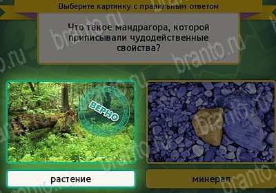 ответы на игру в одноклассниках Выбирайка Уровень 7716