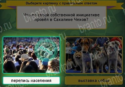 решебник на игру Выбирайка Уровень 7721