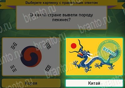 Выбирайка игра подсказки Уровень 7724