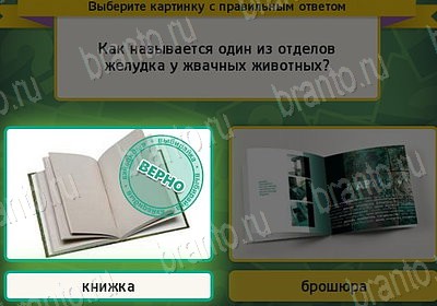 Подсказки на игру Выбирайка Уровень 7742