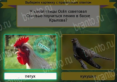 Выбирайка игра подсказки Уровень 7754