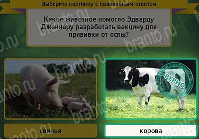 Выбирайка игра помощь Уровень 7765