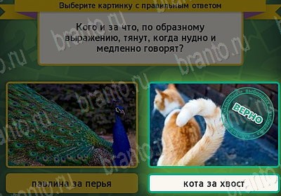 игра Выбирайка ВК помощь Уровень 7769
